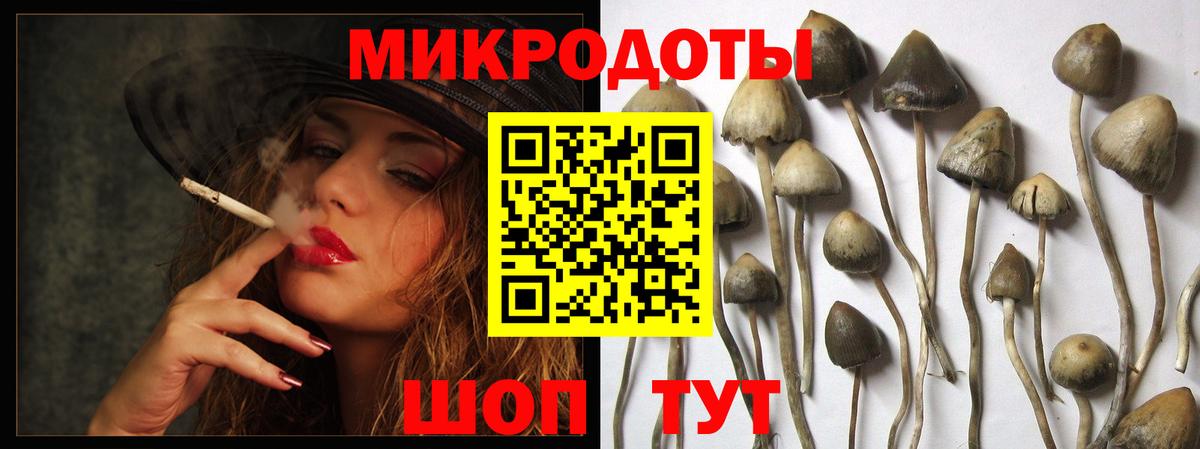 Галлюциногенные грибы Magic Shrooms  Волгоград  Галлюциногенные грибы мицелий 