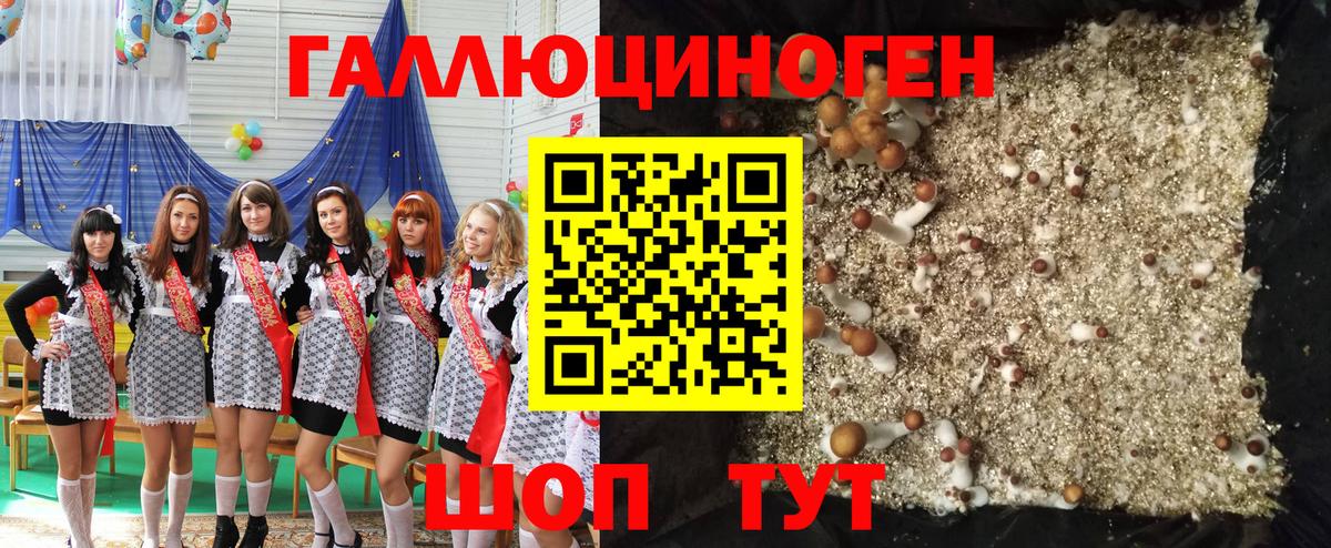 Псилоцибиновые грибы мицелий Волгоград